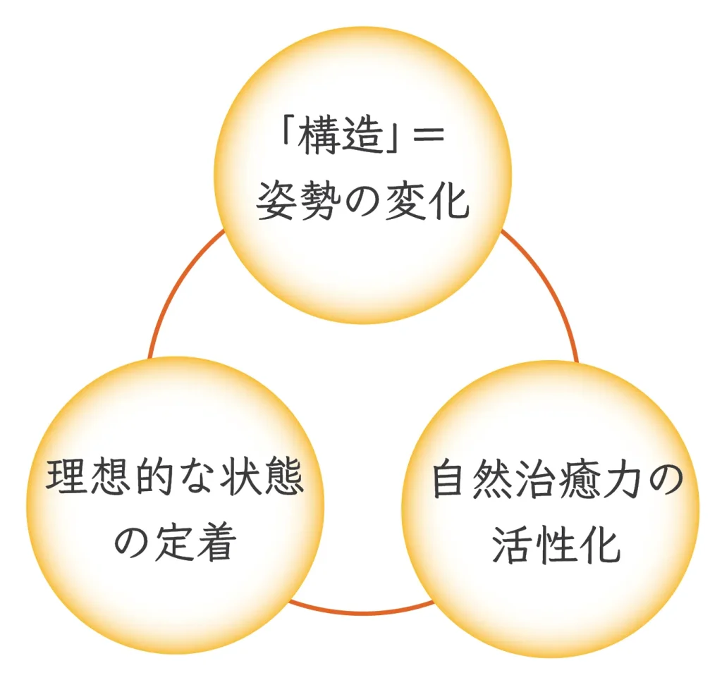整体やマッサージとの違い